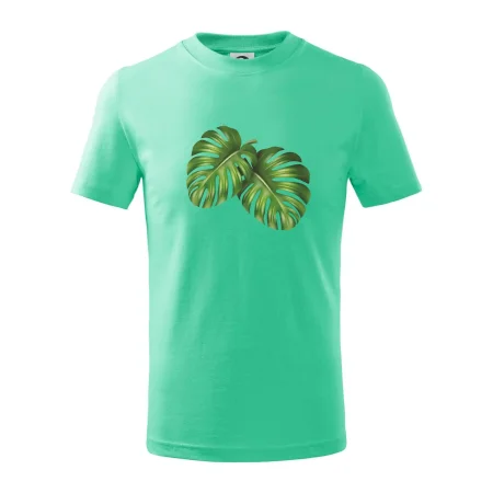 Monstera - dva listy