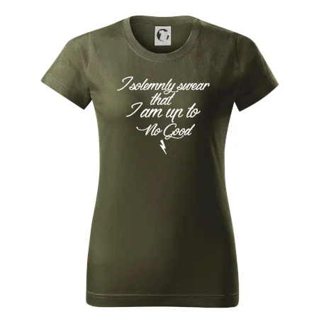 I solemnly swear that I'm up to no good