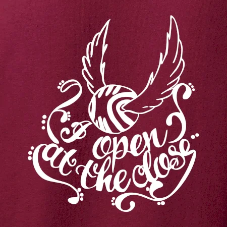 Harry - Zlatá strela