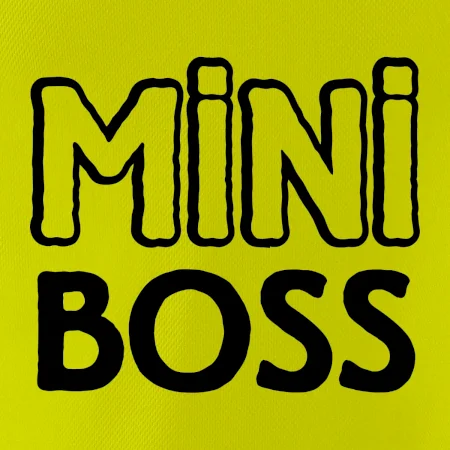 Big boss mini boss