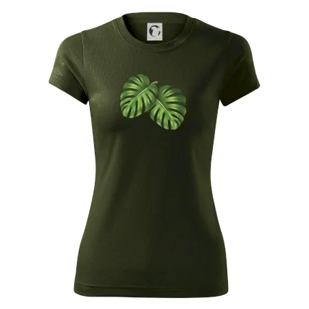 Monstera - dva listy