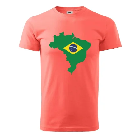 Brazília vlajka v mape