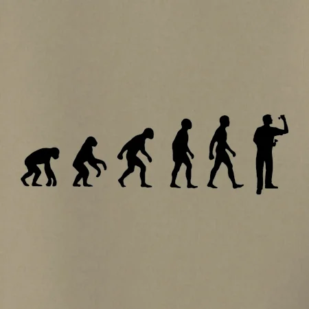 Evolúcia šípky