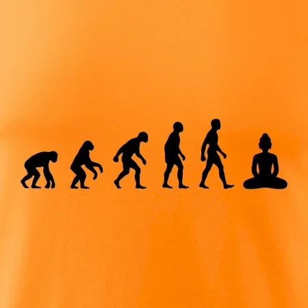 Evoluce budha