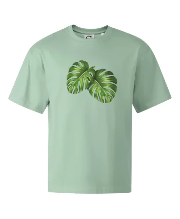 Monstera - dva listy