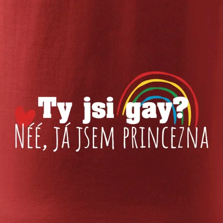 Gay princezna