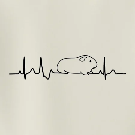 EKG morča