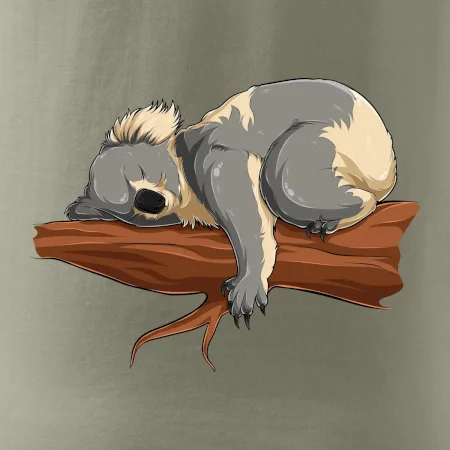 Koala na vetve