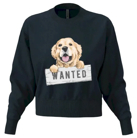 Zlatý retriever - šteniatko wanted