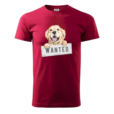 Zlatý retriever - šteniatko wanted
