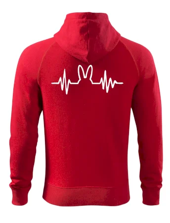 EKG zajac