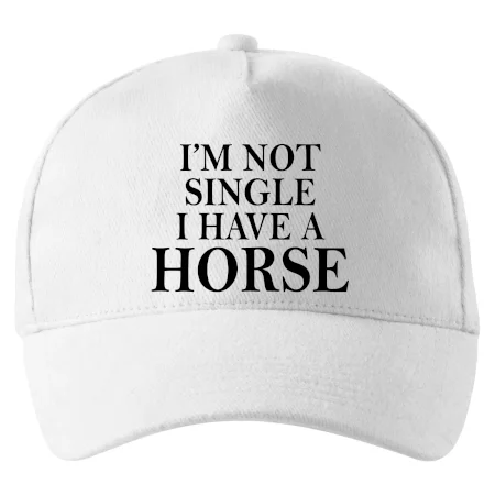 I have a horse