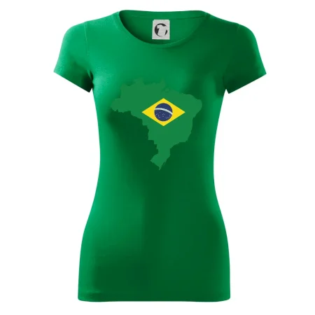 Brazília vlajka v mape