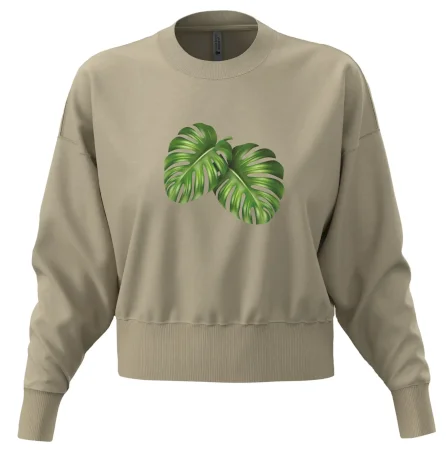 Monstera - dva listy