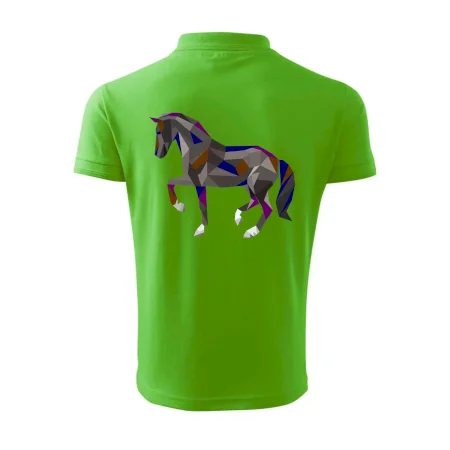Kôň geometria farebný