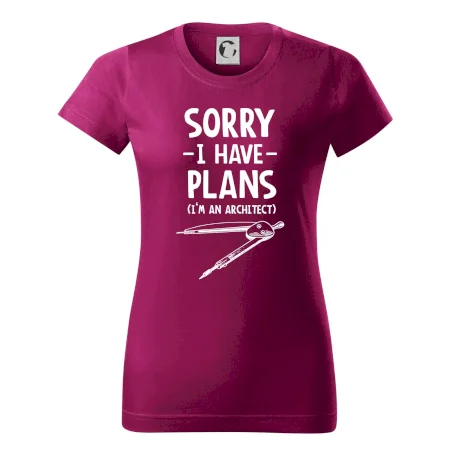 Sorry I have plans - architect