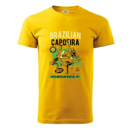 Brazilian Capoeira