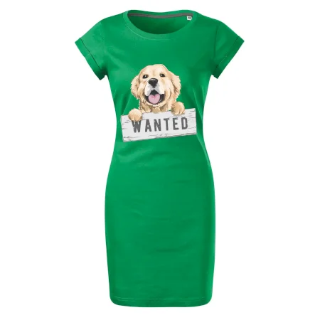 Zlatý retriever - šteniatko wanted