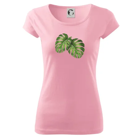 Monstera - dva listy