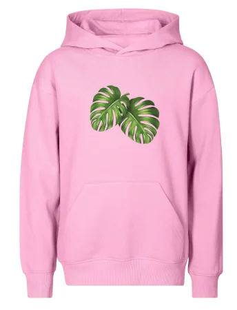 Monstera - dva listy
