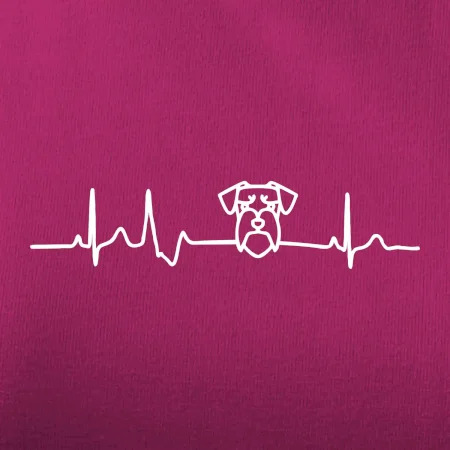 Ekg bradáč hlava