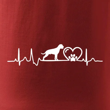 Nemecký boxer EKG