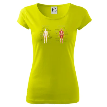 Skelet and Moscular system