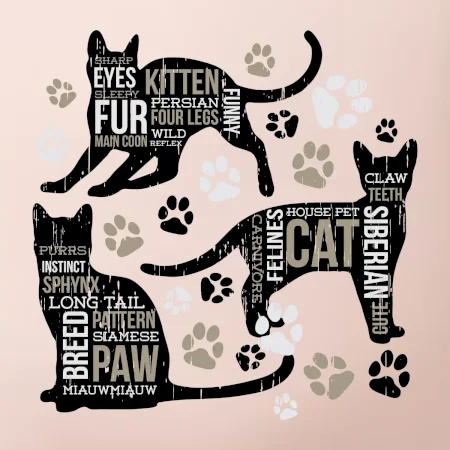 Cat itself