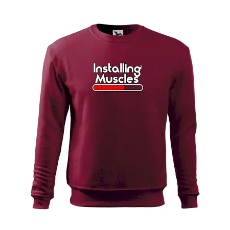 Installing Muscles