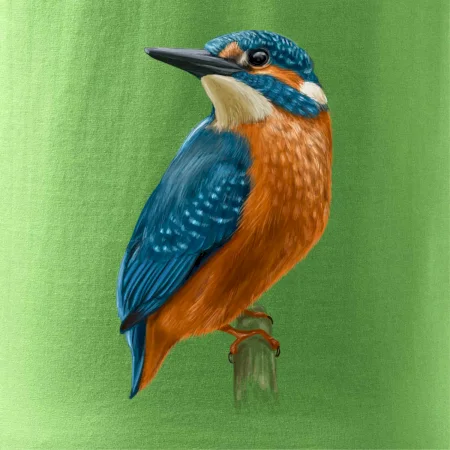 Ľadnáčik kreslený