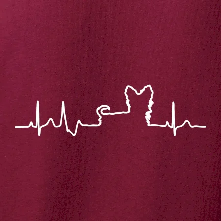 Yorkshirský teriér EKG