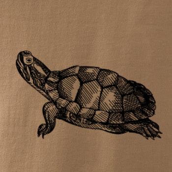 Ceruzkou kreslená korytnačka Ceruzkou kreslená korytnačka