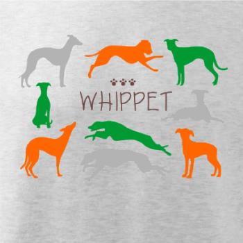 Whippet barevný
