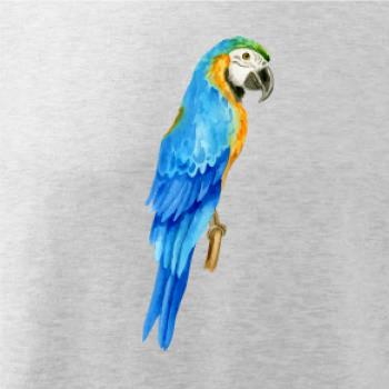 Ara modrá kreslená