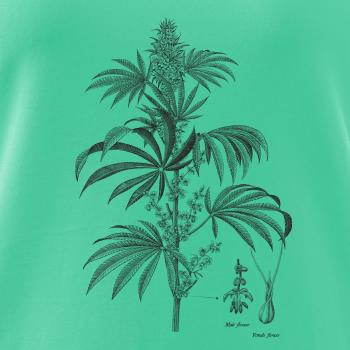 Konope kvietok čiernobiely  