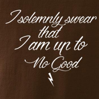 I solemnly swear that I'm up to no good