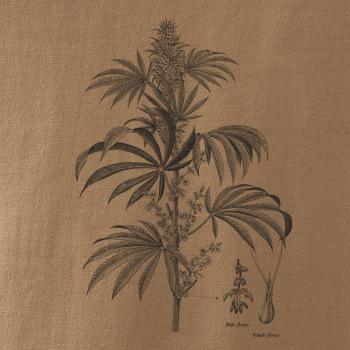 Konope kvietok čiernobiely  