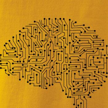 Tištěný spoj mozek