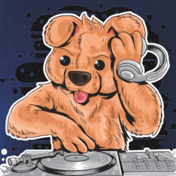 DJ Teddy