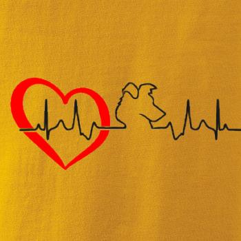 Borderská kólia EKG Borderská kólia EKG