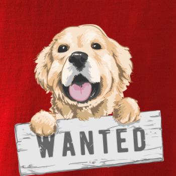 Zlatý retriever - šteniatko wanted Zlatý retriever - šteniatko wanted