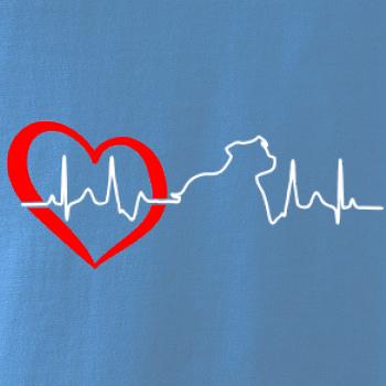 Stafordšírsky bulteriér ‎ EKG