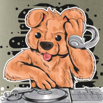 DJ Teddy
