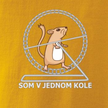 Som v jednom kole