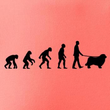 Evolúcia pes Novofundlandský pes (muž-žena)