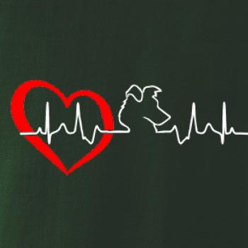 Borderská kólia EKG Borderská kólia EKG