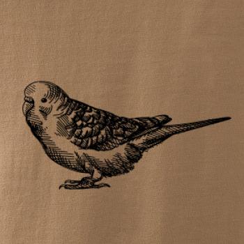 Ceruzkou kreslený Papagáj