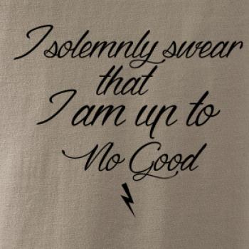 I solemnly swear that I'm up to no good I solemnly swear that I'm up to no good