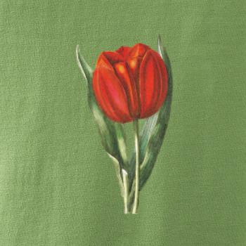 Červený tulipán