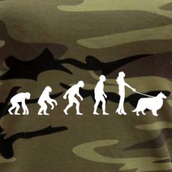 Evolúcia pes Šeltia (muž-žena)